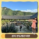 이야기로 배우는 세계 역사 5-6학년 | 안동 병산서원 배롱나무 보고 국가유산방문코스 스탬프 찍으며 역사 공부