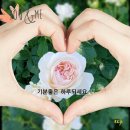 기분좋은하루 이미지