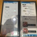 모리참치 이미지