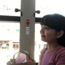 픽미픽미아이스 남장점 | [후쿠오카 여행기 2] #4 오호리 공원 | 텐진 가정식 맛집 | 드립 커피 추천 코히비미