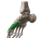 운동공간 정원 이미지