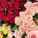 꽃처럼 | 꽃처럼 대구꽃집 찐 후기 – 졸업식부터 기념일까지, 순간을 특별하게 만드는 꽃 이야기