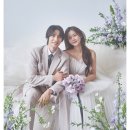 전주스토리