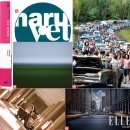 야옹하다 이미지