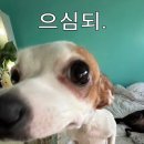 다 - 중랑구 | 다