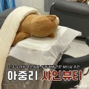 전주 아중리 속눈썹펌 우아동 두피커버 잘하는 샤인뷰티