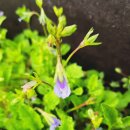 그래 거기 이미지