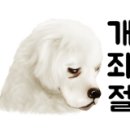 카맥스 옆 네이버블로그