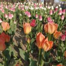 검안아이케어안경 이미지