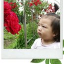 달미공원 이미지