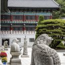 도전님 훈시 : 임원들은 언행과 처사를 바르게 하고 도인을 진리로써 이해시켜 스스로… 이미지