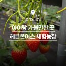 블루베리사슴농장 | [용인 아이랑 가볼만한곳] 딸기체험부터 동물먹이주기까지 가능한 용인 체험농장 헤븐온어스