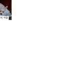 면동초등학교 이미지