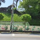 음성종합운동장 이미지