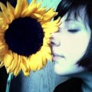 나란히 흐르다 이미지