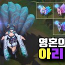 아리세탁