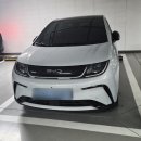 대야주유소 | 장롱면허 초보의 첫 차 구입기: BYD 돌핀을 선택한 이유와 솔직 후기!