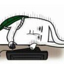 도봉-쌍문-도봉-1672 이미지