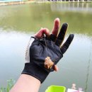 한일낚시터 이미지