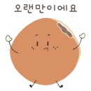 김밥판다 이미지