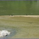 부론초등학교 이미지