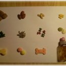 이안덴탈 이미지