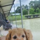 신근낚시터 이미지