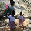 은어펜션 이미지