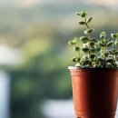 오르소한의원 이미지