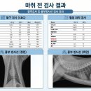 삼송사랑 동물의료센터 이미지