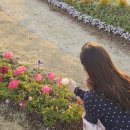 에잇뮤즈 | 🌸 봄 코디 추천, “여자 봄 데일리룩, 그레이스뮤즈로 완성한 꾸안꾸 코디”(1/2편)