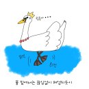 백조 이미지