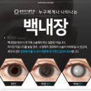 글로리서울안과의원 네이버블로그