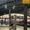 함께 행복해지는 길을 찾아서 | 벌써 독일 온 지 한 달 됐다고 이거구라지 [비아드리나 26-1 여름학기 교환학생 일상]