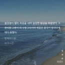 이건 한국인으로서 참을 수 업다 결코 좌시하지 않겟어 이미지