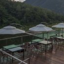 풀그리다 이미지