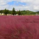 낙동강변10 이미지