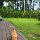 동주풀빌라 이미지