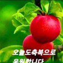 11월 인사말 이미지