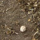 현태농장 이미지