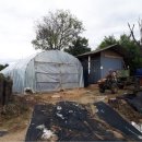 남형농장 이미지