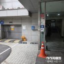 밸런스자세교정 | 서초자세교정 척추밸런스요법 후기