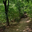 플러스그린렌트카 이미지