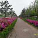 이마트 약국 이미지