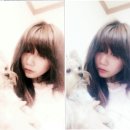 도담이 이미지