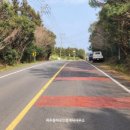 제주올레공인중개사사무소 이미지