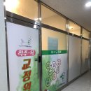 <쌍암동> 가나안척추목교정원본점 거북목·체형교정 받고 온 후기