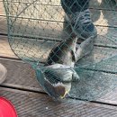 산들 낚시터 이미지