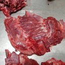 보은질고지흑염소농장 이미지