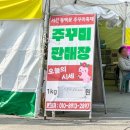 서천-23 | 천안-예산-서천-군산 #3 : 서천 동백꽃 주꾸미축제 찐후기, 근처 수산시장